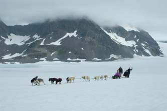 Seward dog sledding Alaska Channel