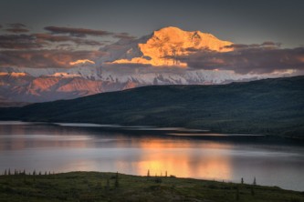 Denali National Park Main