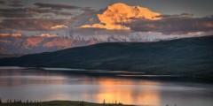 Denali National Park Main