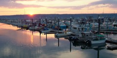 Homer Kachemak Bay main