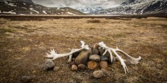 Wrangell St Elias
