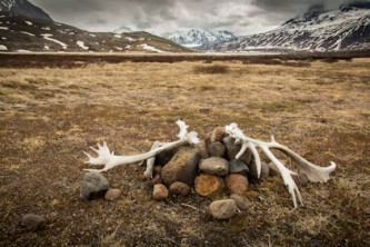 Wrangell St Elias
