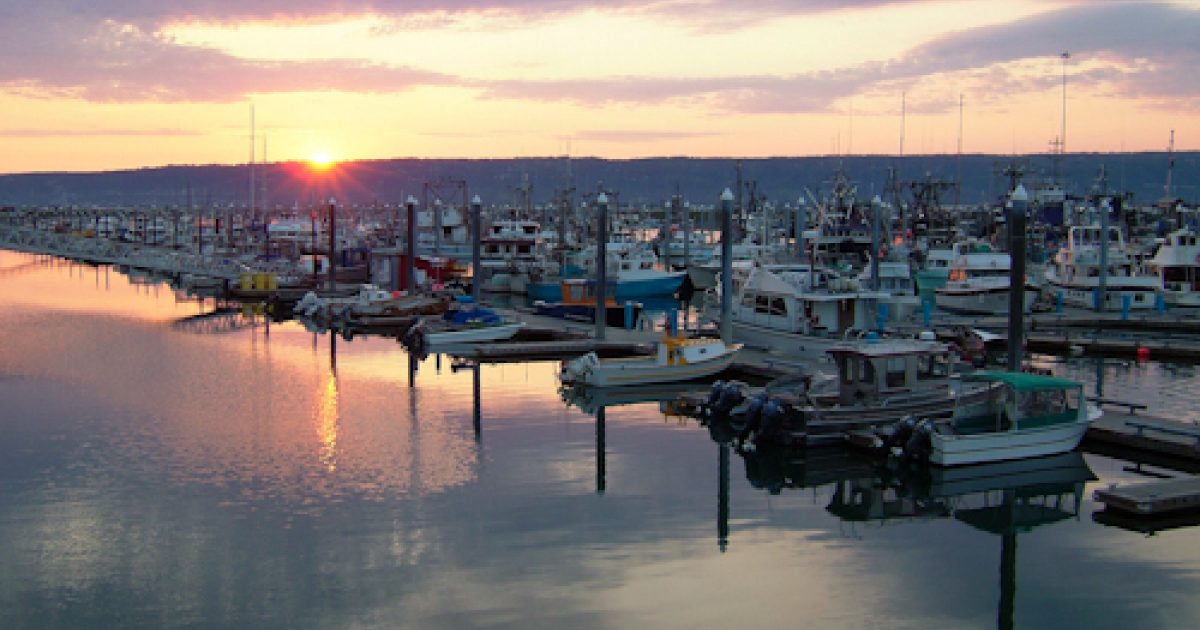 Homer, Alaska The Best Hotels, Tours, Trails, Bear…