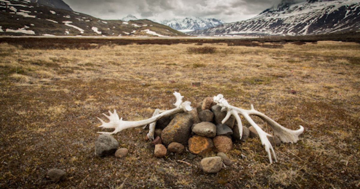 Wrangell St. Elias National Park | ALASKA.ORG