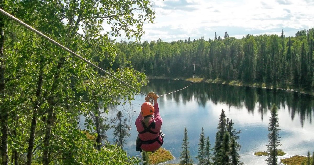 Talkeetna Best Zipline Tours