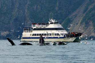Alaska trip ideas whittier DSC 8367 Version 6 Kenai Fjords National Park Tour