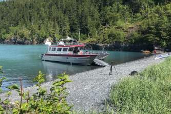 Whittier water taxis lazy otter charters