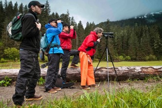 Best way to see alaska mj9r6m