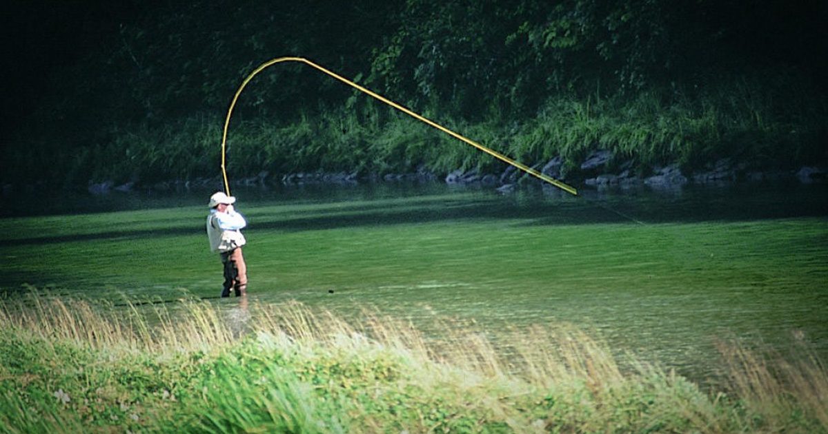 Best Time To Fish In Alaska, Chart Showing Summer Runs