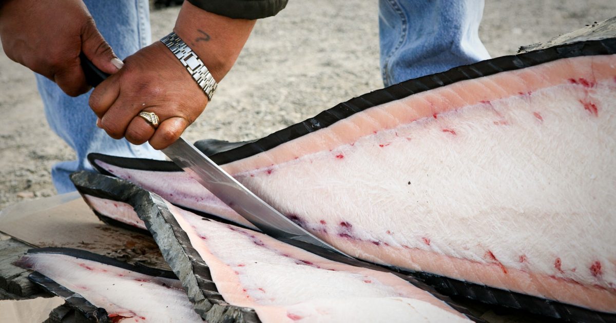 Speak Alaskan Alaska Org