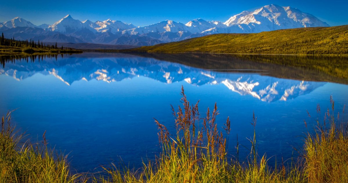 Visit Denali Or Not?