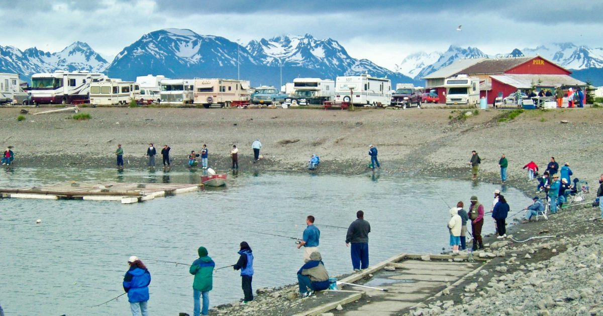 Alaska Fishing License Where To Get It Online, at…