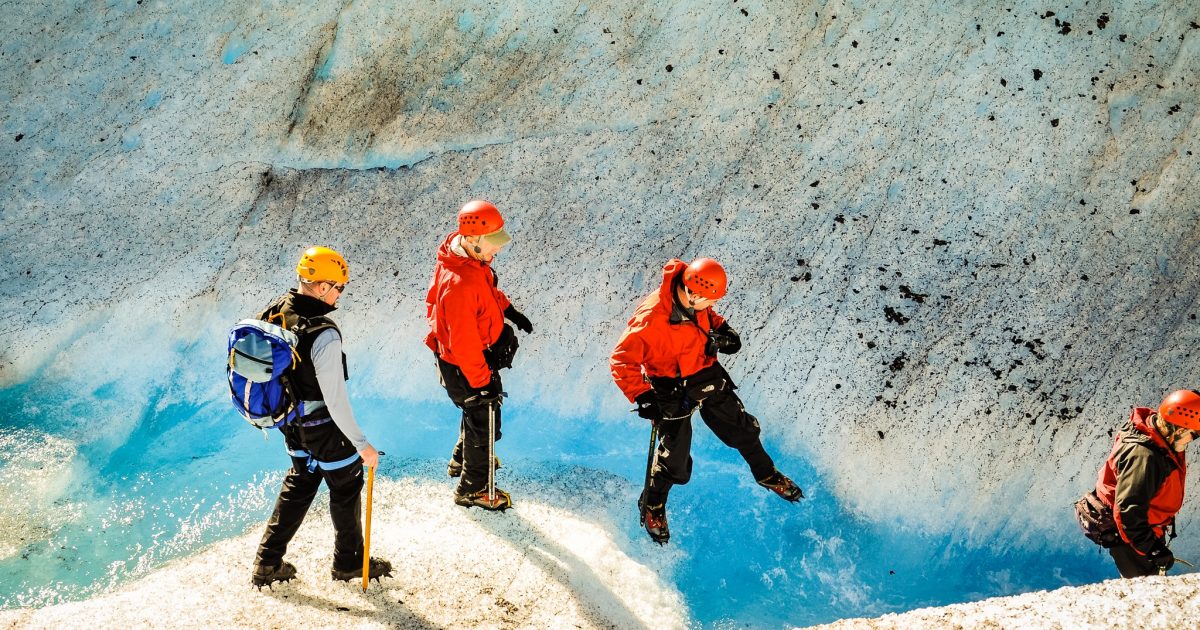 Best Alaska Shore Excursions Locals Pick The Best…