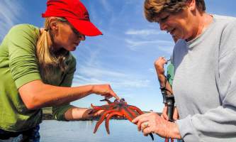 Kachemak Bay Wilderness Lodge 43 mxexxj
