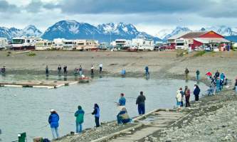 Where To Get Your Alaska Fishing License Homer June 04 023 o1643q