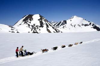 0 Best Alaska Excursions mj9qz3