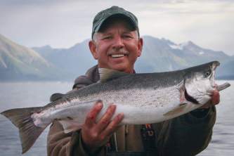 Salmon or Halibut silver salmon o16403