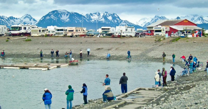 Alaska Fishing License Where To Get It Online At Alaska Org