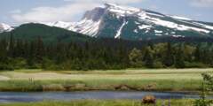 Lake Clark NPS