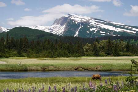 Lake Clark NPS