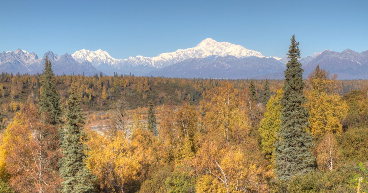 Driving Highlights Anchorage to Denali National Park 