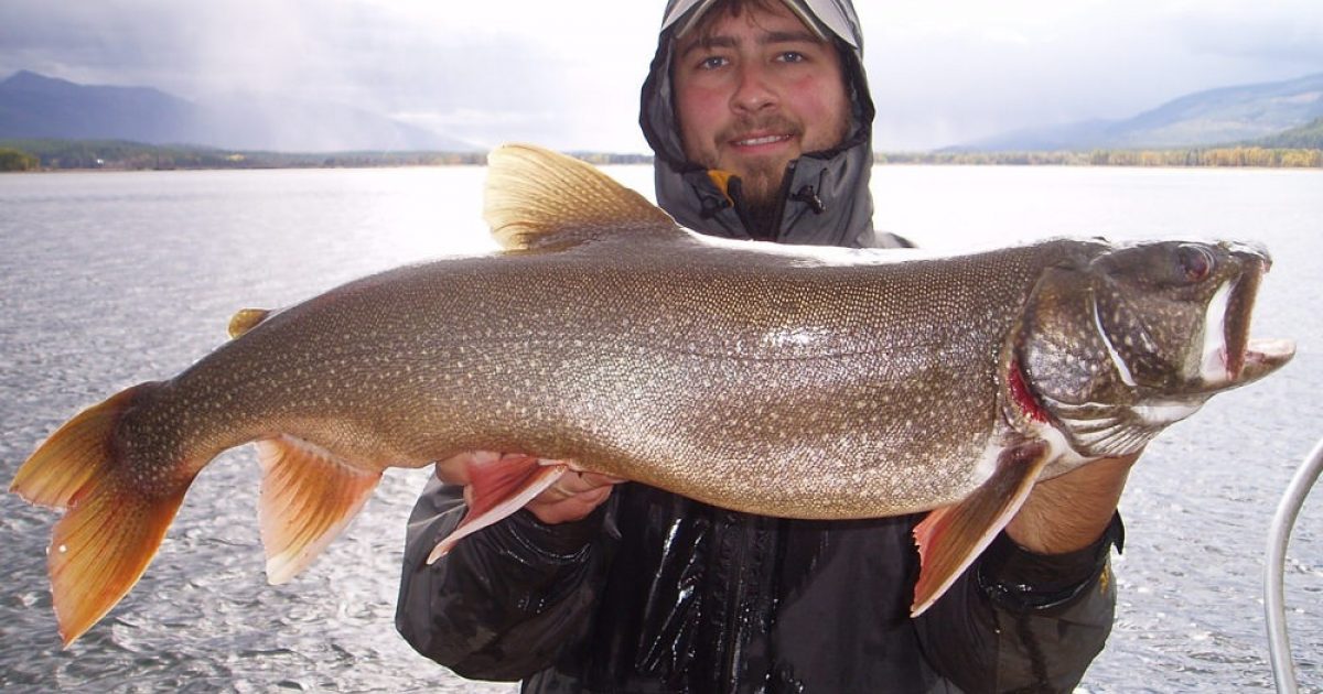 Alaska Lake Trout Fishing Spots Alaska Org