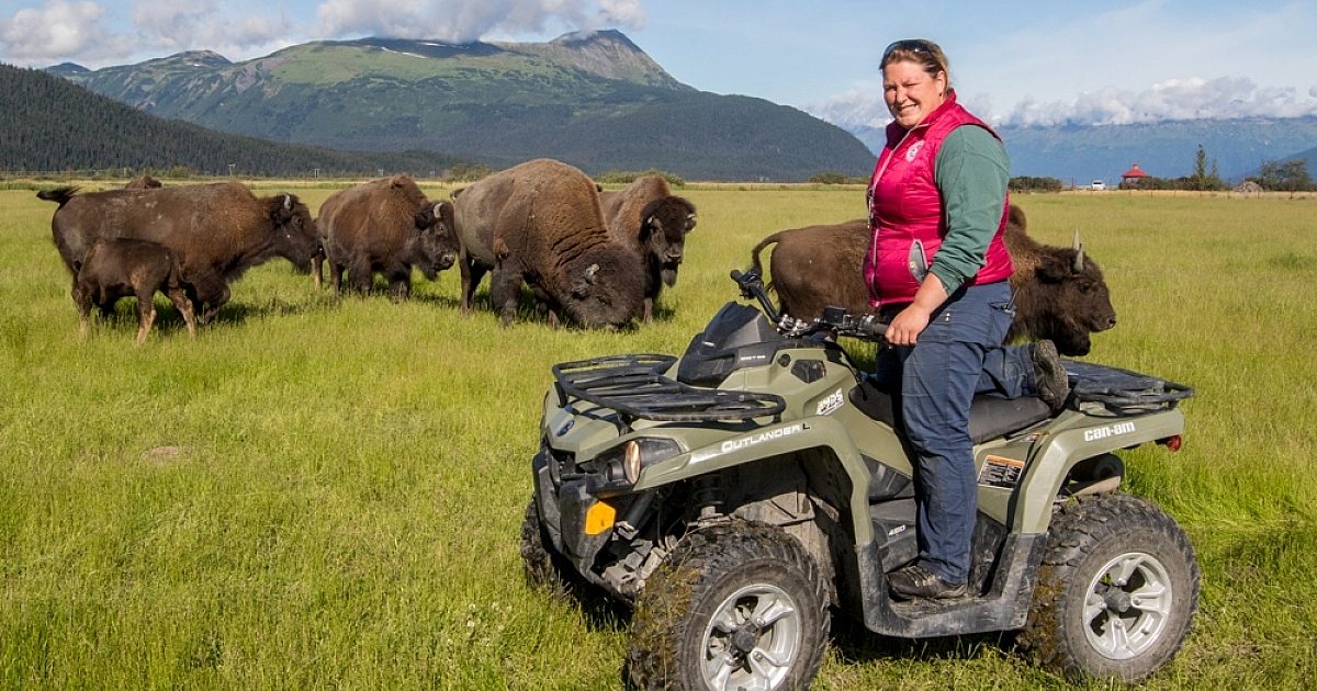 Intro | ALASKA.ORG