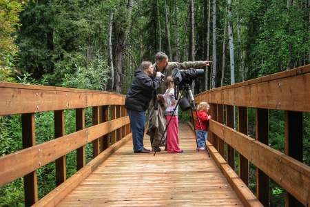 The Best Wildlife Viewing Spots in Fairbanks