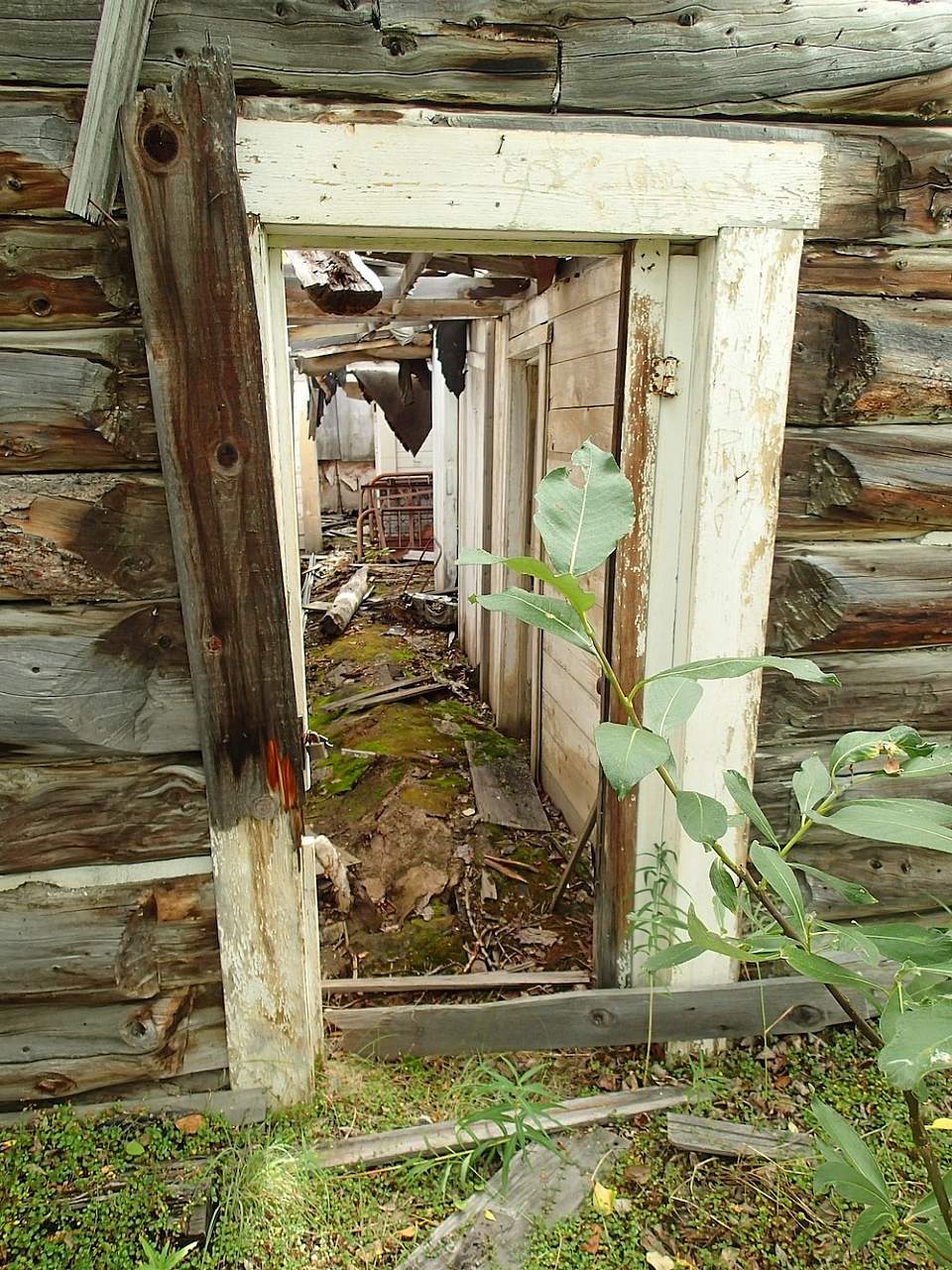 MILE 0 Pioneer Paxson Lodge 1