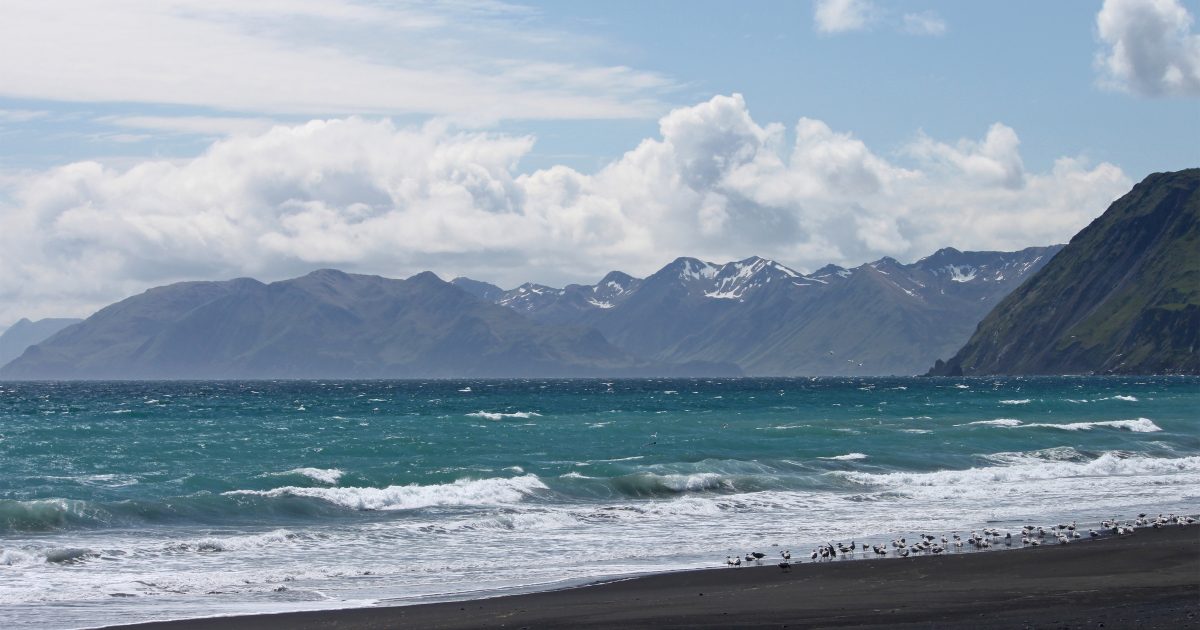 Escape to Pasagshak: Your Alaskan Adventure Awaits
