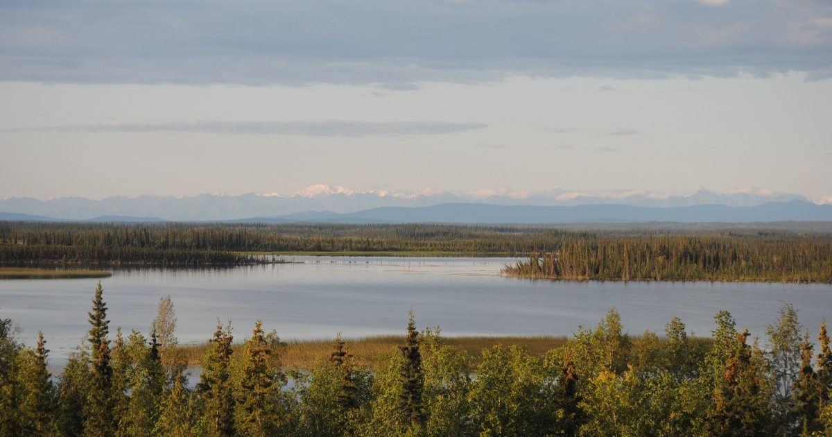 Tok CutOff Driving Guide to Alaska's Backcountry