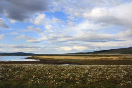 Nome-Taylor Highway Scenic Drive