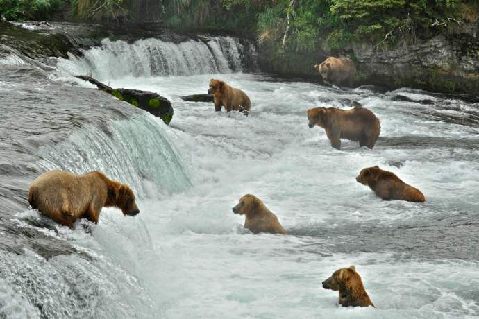 Alaska natural phenomena brooks falls douglas croft ph4ghq