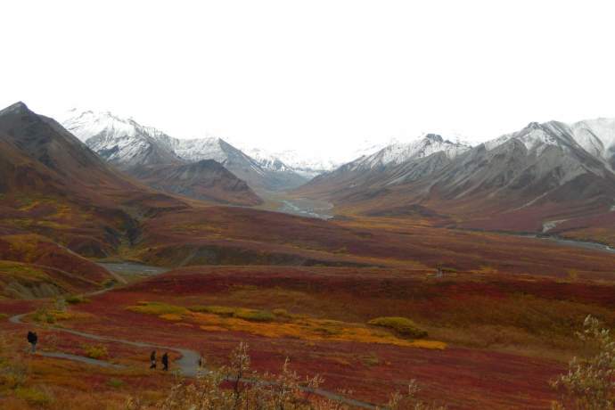 Alaska natural phenomena fall tundra foliage denali ryan ek ph4ghi