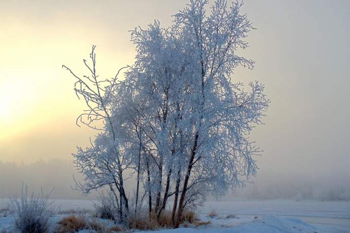 Alaska natural phenomena hoar frost west chester lagoon zen godfrey ph4ggs
