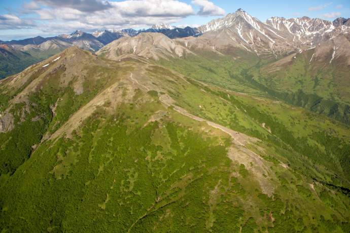 Seasonal rhythm of alaska early summer lazy mountain trail pdkjhu