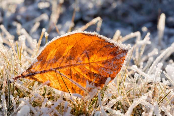 Seasonal rhythm of alaska early winter in alaska 4389 pdkji3