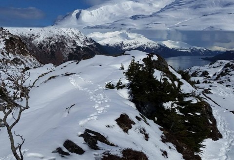 Hiking at Portage Pass with Prince William Sound in the distance