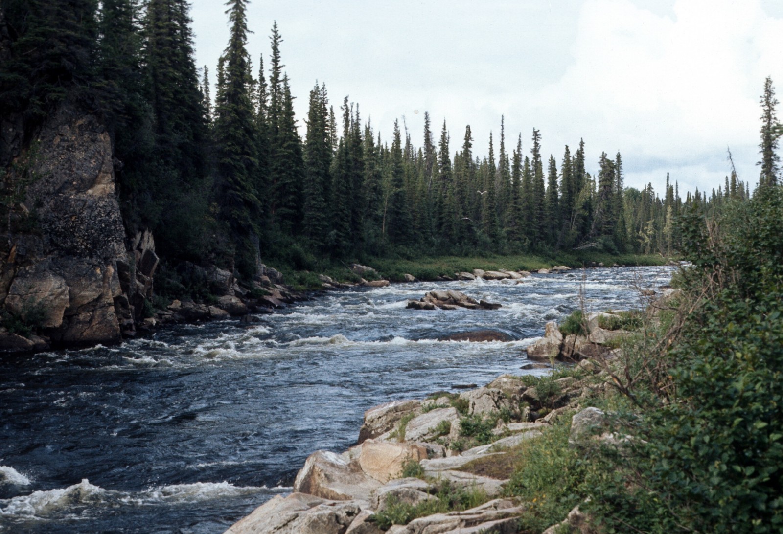 Gulkana River (Lower)