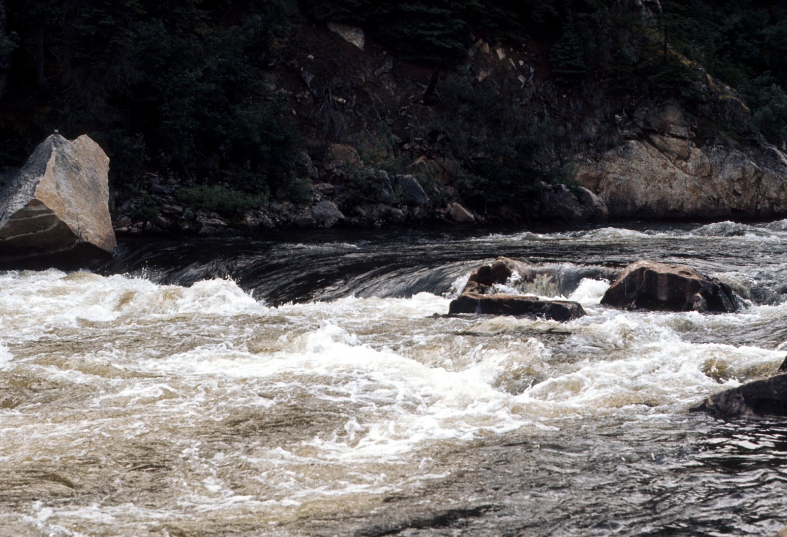 Gulkana River (Lower)
