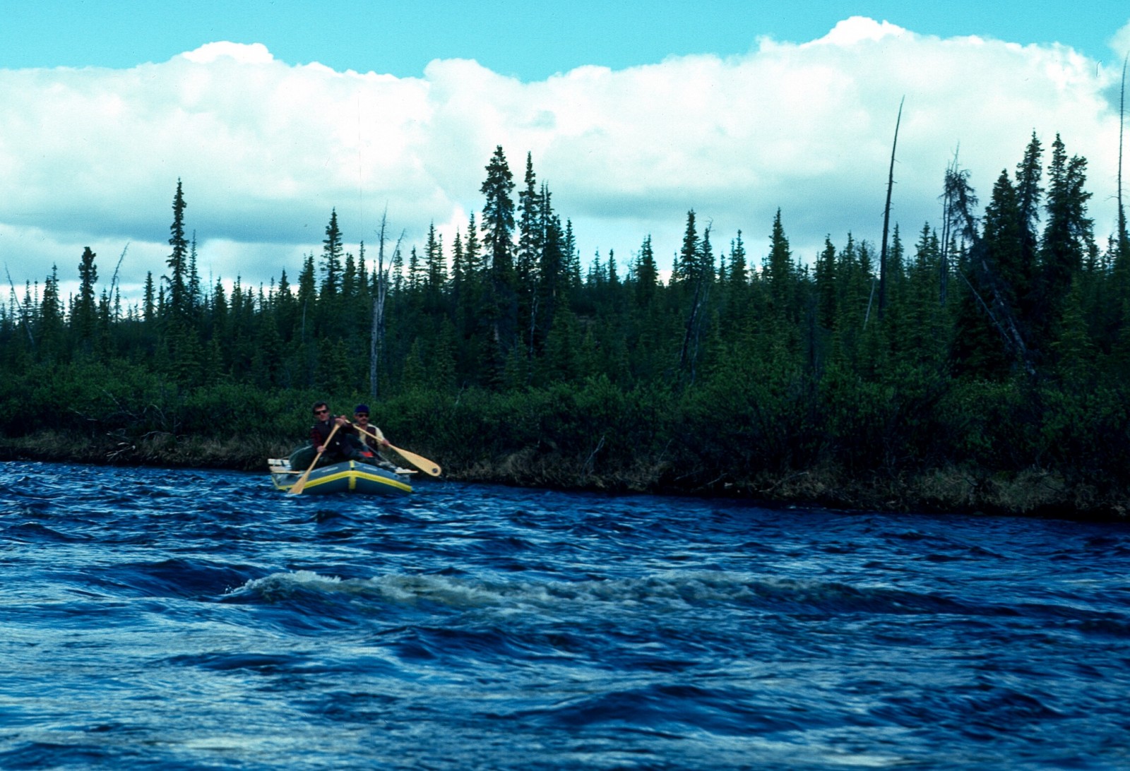 Gulkana River (Lower)