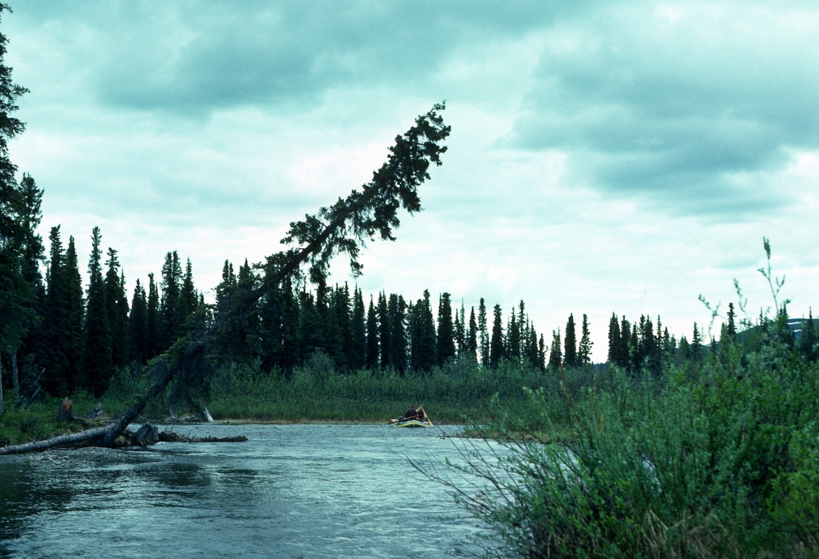 Gulkana River (Lower)