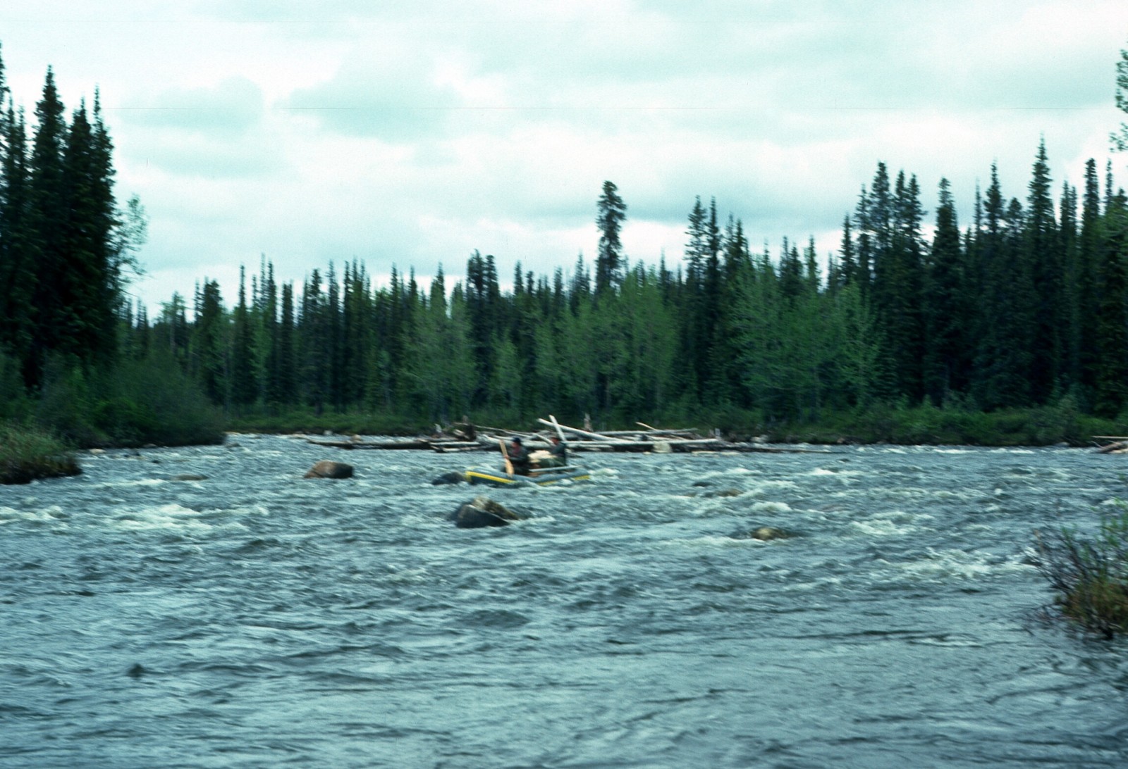 Gulkana River (Lower)