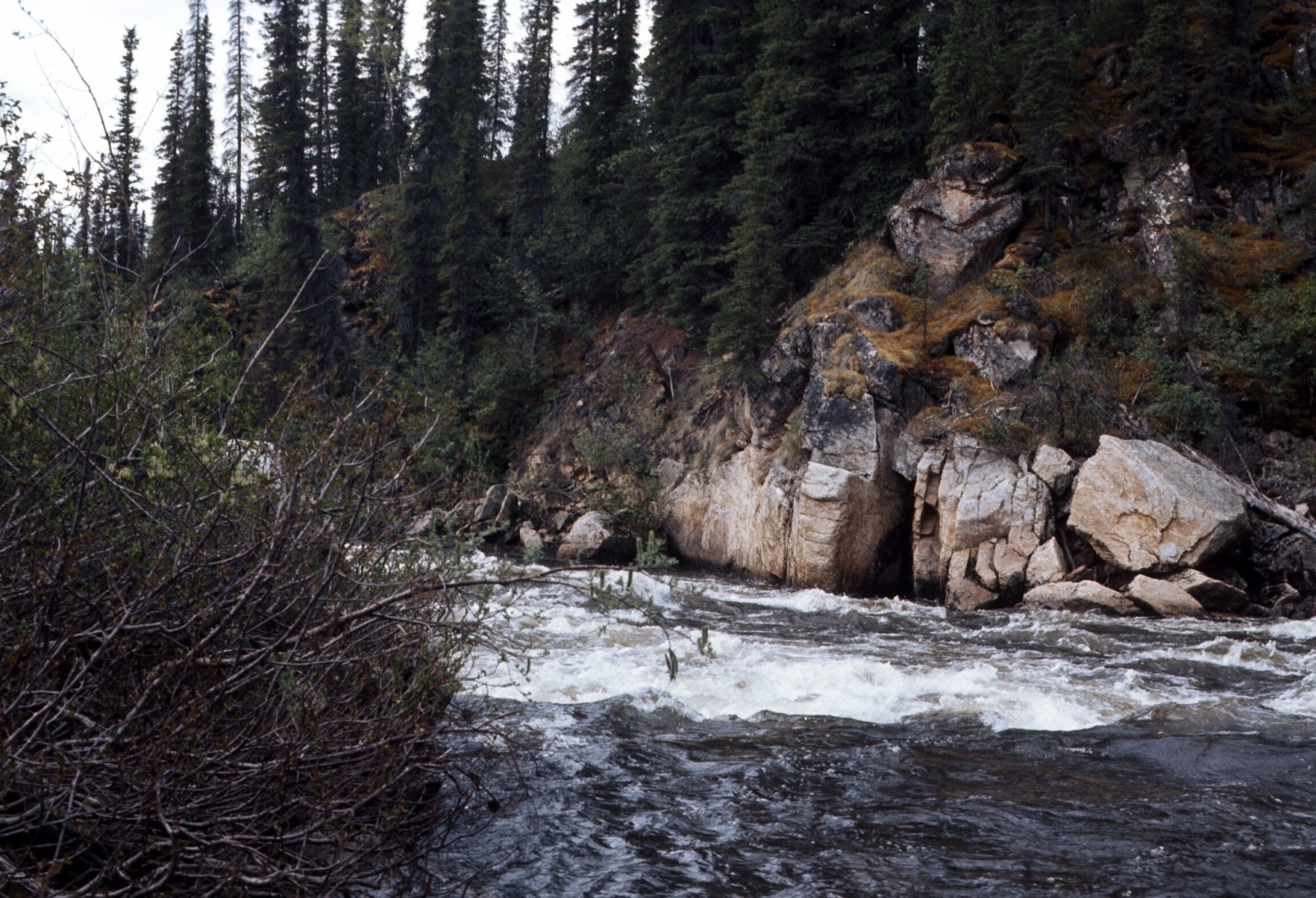 Gulkana River (Lower)