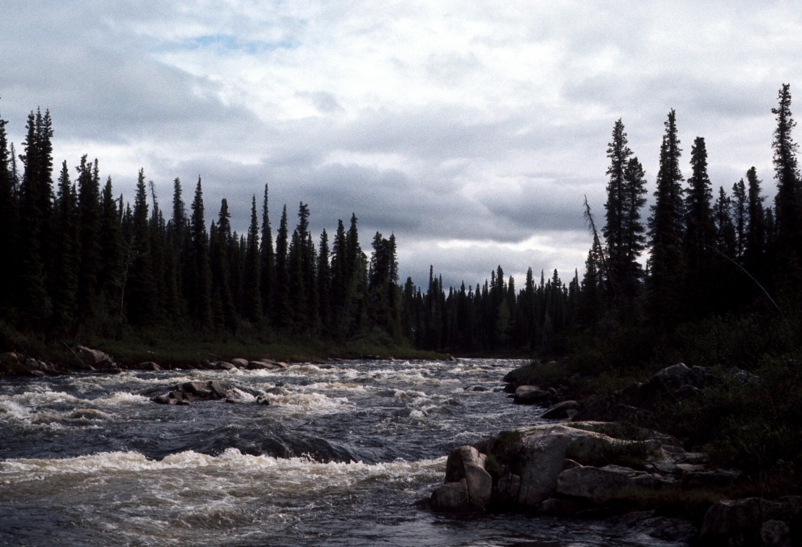 Gulkana River (Lower)