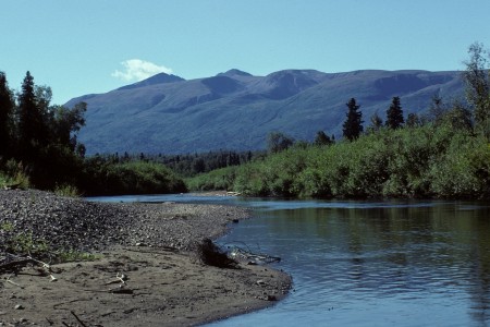 Alexander Creek