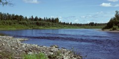 Andreafsky & East Fork Rivers