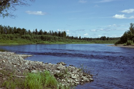 Andreafsky & East Fork Rivers