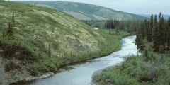 Anvik River