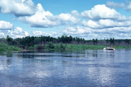 Koyuk River